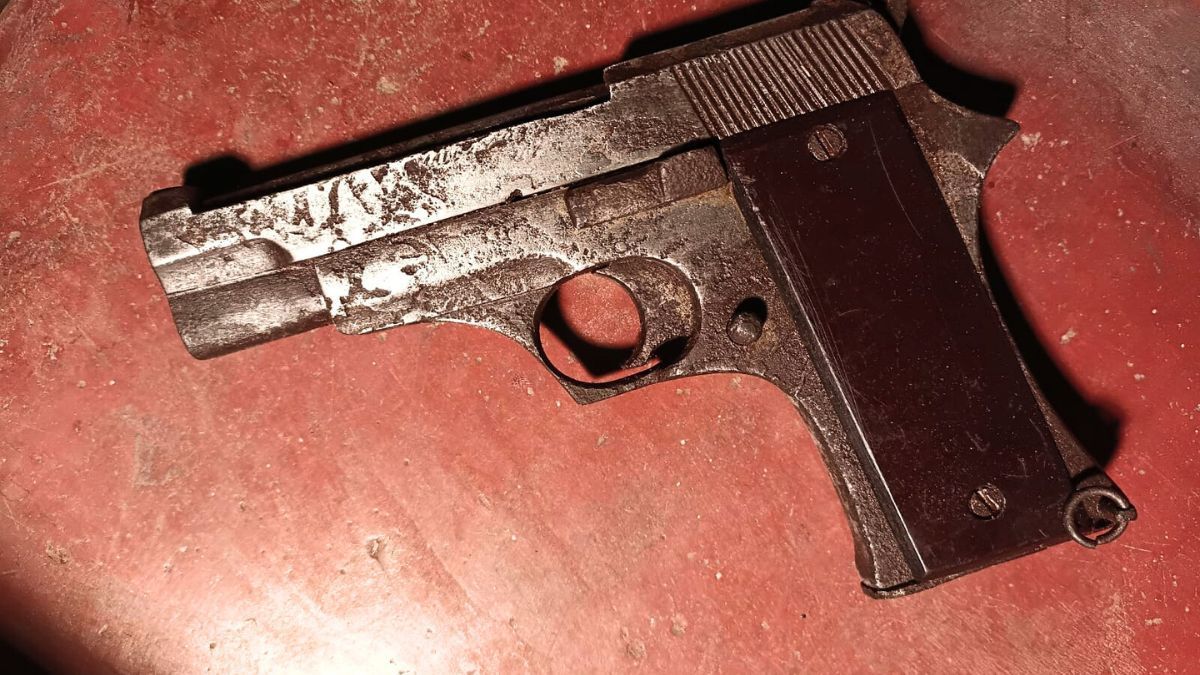 জমা পড়েনি ১০ হাজার ‘বৈধ অস্ত্র’, পর্যালোচনা হবে আ.লীগ আমলের লাইসেন্স